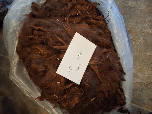 Llama Fleece- F01