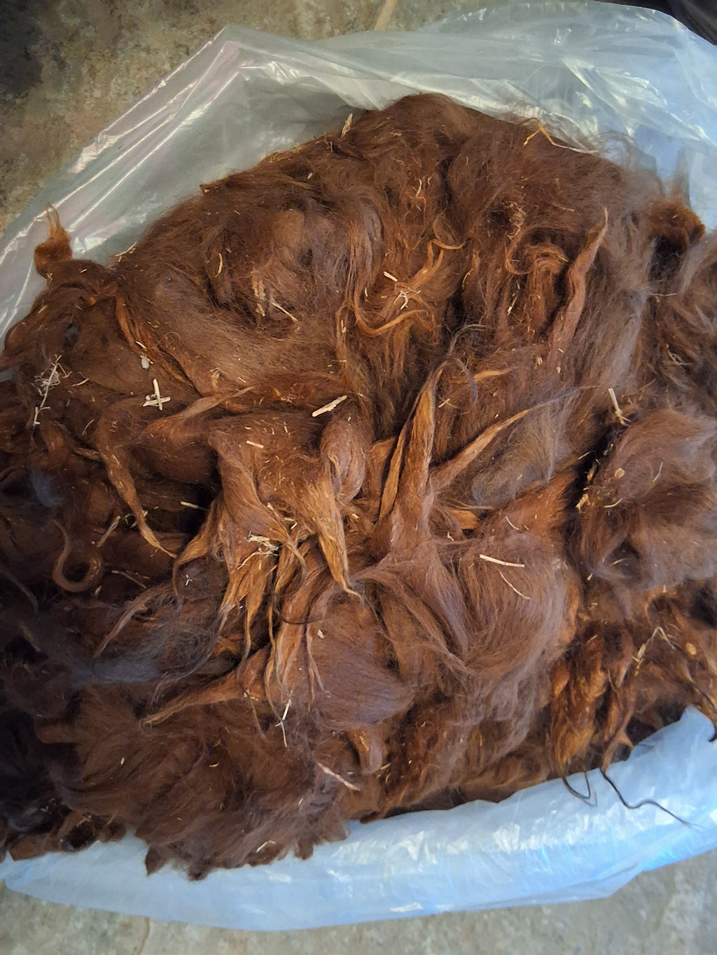 Llama Fleece- F01